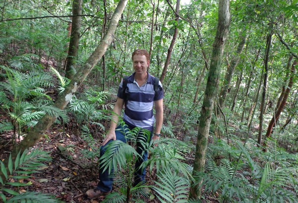 arthur spruit aardam mexican dwarf palm